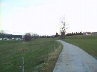 Promenade du soir
