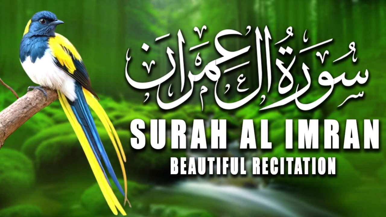Surah Al Imran سورۃ آل عمرن | Most  Beautiful and Heart Touching  Quran Recitation | Quran |Tilawat Quran