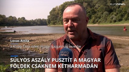Súlyos aszály a magyar földek csaknem kétharmadán