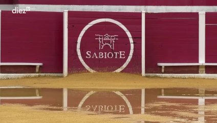 Tendido Diez | 14x82 | 28-08-2024