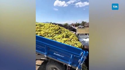 Çiftçi isyan etti: Bu sene çiftçilik hayatıma son verdim