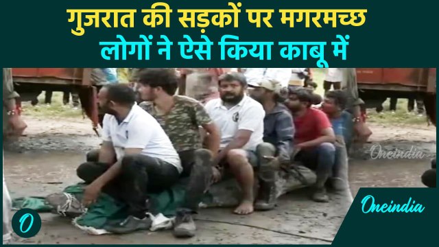 Gujarat Flood: गुजरात में बारिश का कहर से सड़क पर पहुंचा Crocodile | वनइंडिया हिंदी #Shorts