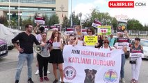 Yaşam hakkı savunucuları sokak hayvanları düzenlemesinin iptalini talep etti