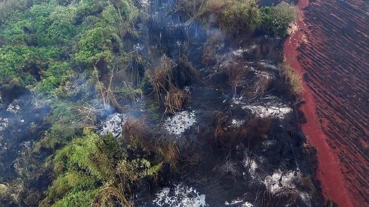 Incendio en Brasil 2