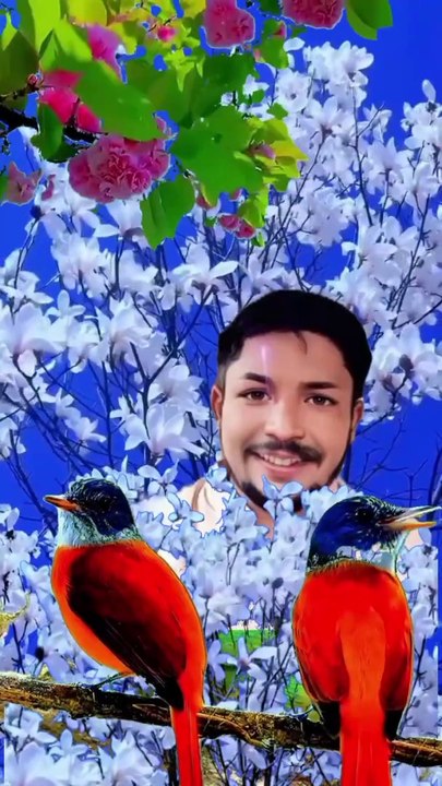 New trending vedio
