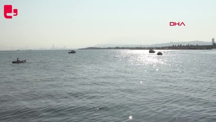 Uzmanlar İzmir'deki kötü koku ve balık ölümlerini araştırıyor: 'Yangın sebep olabilir'