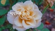 꿈을 향한 비상, 새벽을 여는 꿈의 날개 시 글귀  여러분의 꿈을 향한 여정을 시작하시길 바랍니다!  '새벽을 여는 꿈의 날개'는 자아실현을 향한 열정적인 도전을 그린 시입니다. 밤하늘의 별빛처럼 빛나는 당신의 꿈, 그 꿈을 향한 강한 의지가 새로운 가능성의 문을 열었습니다.  희망찬 새벽빛과 함께 당신의 꿈도 서서히 모습을 드러내며, 끝없는 성장의 기회를 선사했습니다. 높은 목표를 향해 날개를 펴고 비상하는 이 여정에서, 당신만의 특별한 이야기를