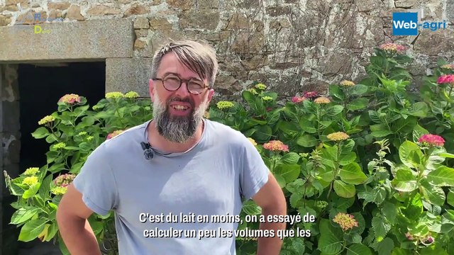 « Les veaux sont au pis des vaches laitières au moins 3 semaines »