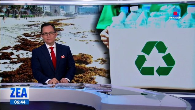 Panterra, proyecto universitario para procesar materiales no biodegradables