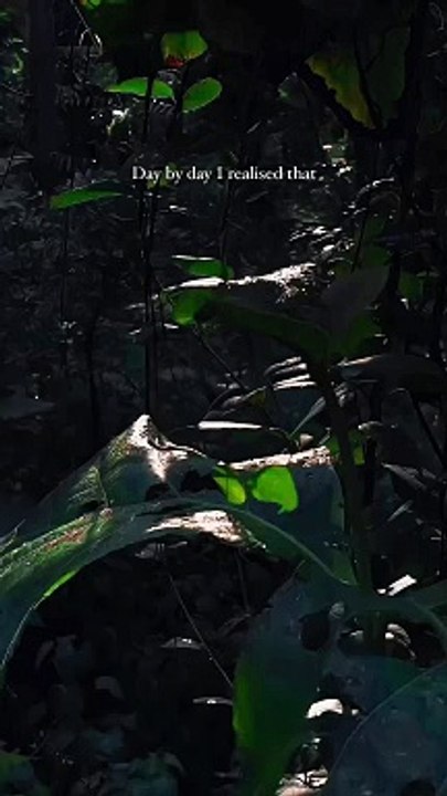 I realised that __._._.__ #explorepage #explore #aesthetic _#ａｅｓｔｈｅｔｉｃ #edits #sad #love #songs #sky #sunrise #day #trendingreels #trending #instagood