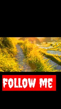 Beautiful place in the world nice look green green grass stonesnaturalbeauty933#beauty#night#hotvideo#foryou#trendingvideo#trendvideo#dailymotionnight#greengrrengrass#nicelook#beautiful#beauty#good#