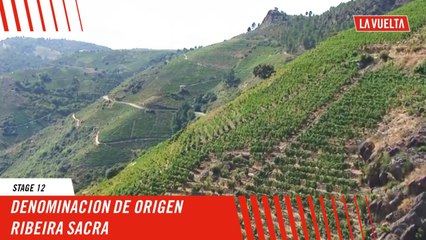 Denominacion de origen Ribeira sacra  - Stage 12 - La Vuelta 2024