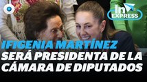 Ifigenia Martínez es la nueva presidenta de la Cámara de Diputados I Reporte Indigo