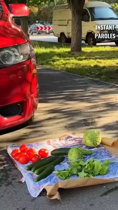 Cet homme créé un chariot unique à une dame âgée après l’avoir vu dans l’embarras en pleine rue