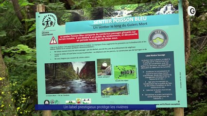 Reportage - Un label prestigieux protège les rivières