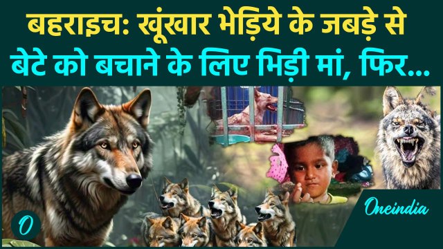 Bahraich: बच्चे ले जा रहा था आदमखोर भेड़िया भिड़ गई मां फिर... | Wolf Attack in UP | वनइंडिया हिंदी