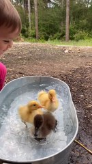 "A Baby With Her Babies Follow For More"....!!