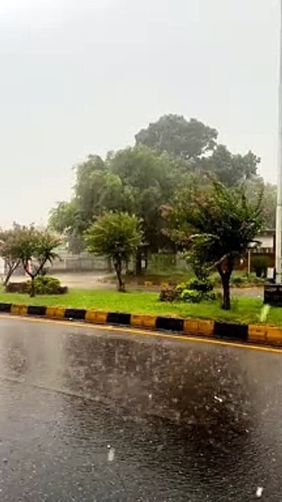 A busy rainy day #rainyday#rain#raining#wholedayrain#rainilyseason