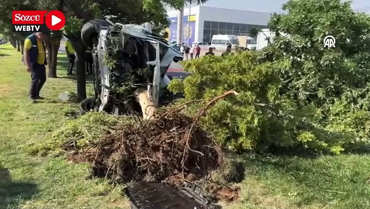 Ağaca çarpan otomobildeki 1 kişi öldü, 2 kişi yaralandı