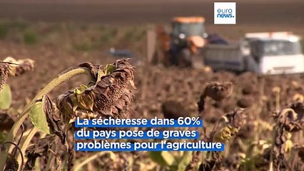 La sècheresse frappe les agriculteurs en Hongrie
