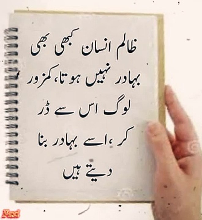 Zalim Insane Kabhi Bhadur Nhi Hota