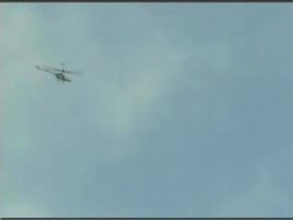 Loops et vrille honey bee king 2