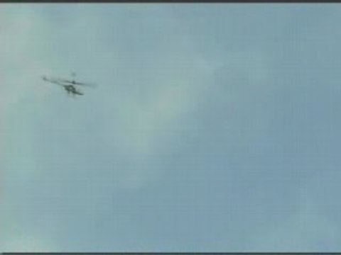 Loops et vrille honey bee king 2