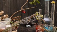 Sekrety Biblioteki Aleksandryjskiej: Co Ukrywała Największa Skarbnica Wiedzy?
