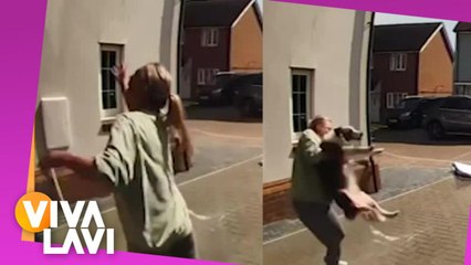 Mujer salva a su perro que saltó de una ventana