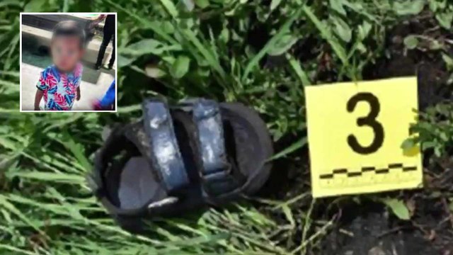 Dylan Castro, el niño de dos años hallado muerto en un cultivo de papa sí habría sido abusado