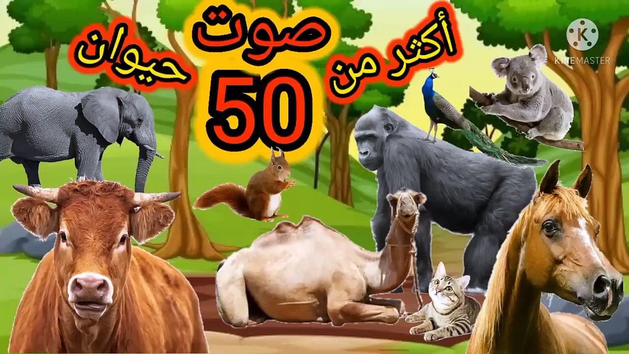 50