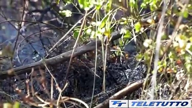 Video News - Maddalena in fiamme, ipotesi dolo