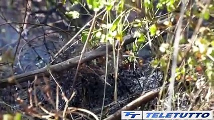 Video News - Maddalena in fiamme, ipotesi dolo