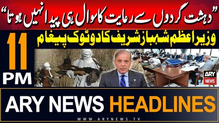 ARY News 11 PM Headlines 29th August 2024 | PM Shehbaz's Categorical Message