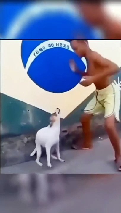 Kocak parah