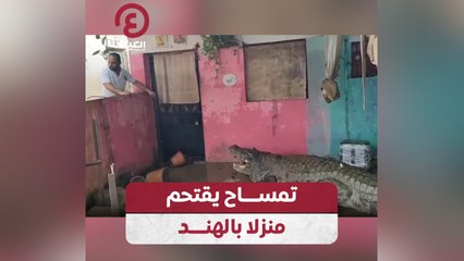 تمساح يقتحم منزلا بالهند