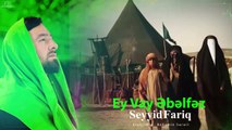 Seyyid Fariq - Ey Vay Əbəlfəzl (Official Audio Clip)