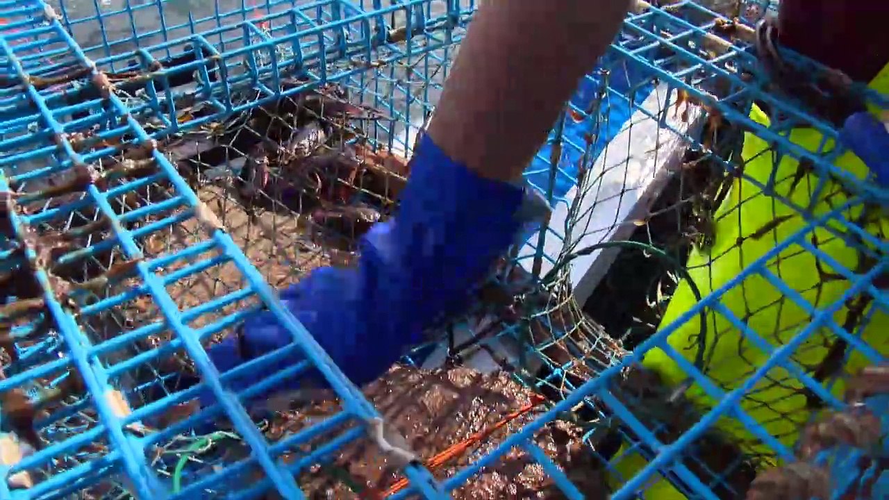 29 aout TOPO AD Bar rayé projet pilote