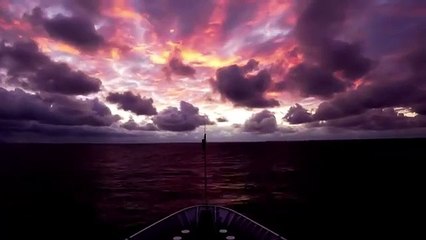 ANTÁRTICA -  A Vida Selvagem no Fim do Mundo