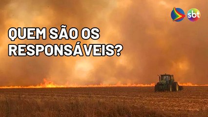 Sete suspeitos de incêndios criminosos em São Paulo são presos