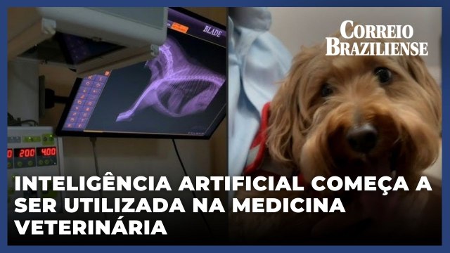 Inteligência Artificial aliada dos veterinários na Coreia do Sul