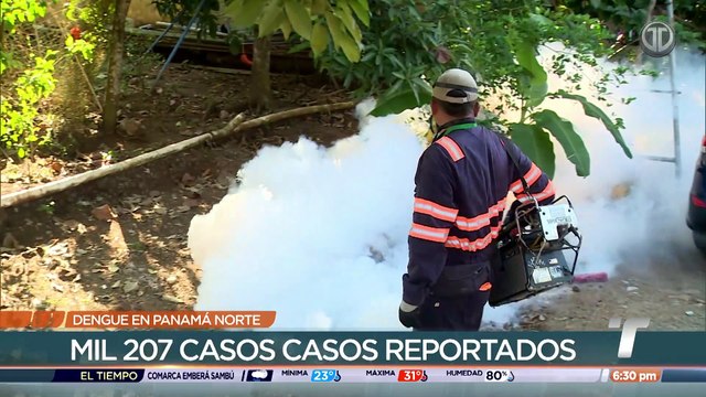 Región de Salud de Panamá Norte aplicará sanciones por criaderos de mosquitos