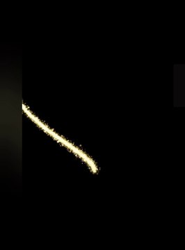 Ukrainian borscht / Украинский борщ / Ukrainischer Borschtsch