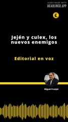 Editorial | Jején y culex, los nuevos enemigos
