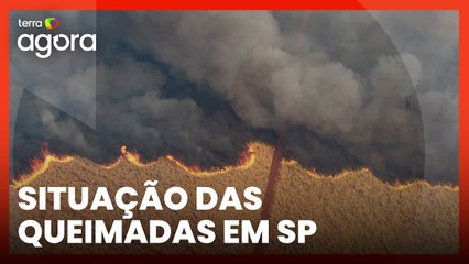 Incêndios em SP: Polícia investiga ação criminosa e coordenada