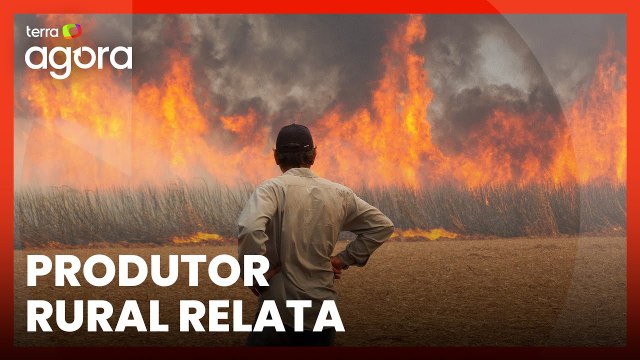 Incêndios em SP: Queimadas afetam população e animais no interior de SP
