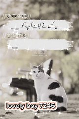 Very funny video  tranding video