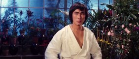 Tử Vong Du Hý - Game Of Death (1978) - VS