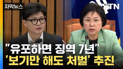 [자막뉴스] 딥페이크 피해 확산에 '처벌 강화, 단순 시청 처벌' 여야 앞다퉈 '늑장대응' / YTN