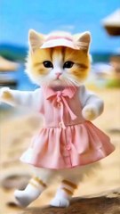 utomp3.com - cute cate dance_v720P